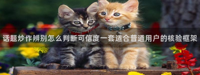 91吃瓜资讯网:话题炒作辨别怎么判断可信度一套适合普通用户的核验框架