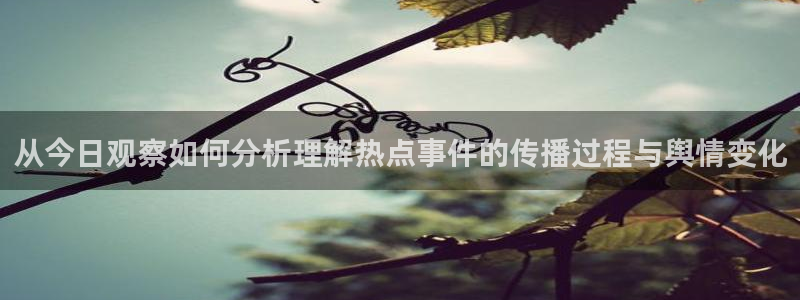 91吃瓜入口大全:从今日观察如何分析理解热点事件的传播过程与舆情变化