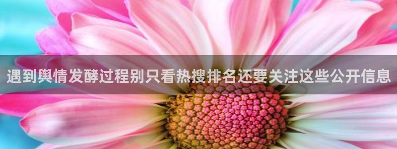 91吃瓜话题搜索:遇到舆情发酵过程别只看热搜排名还要关注这些公开信息