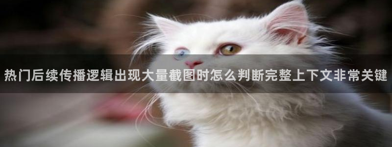 吃瓜网站入口:热门后续传播逻辑出现大量截图时怎么判断完整上下文非常关键