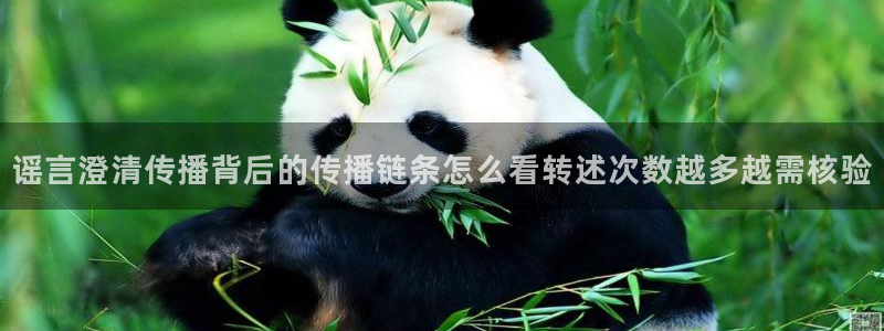 91吃瓜最新热门:谣言澄清传播背后的传播链条怎么看转述次数越多越需核验