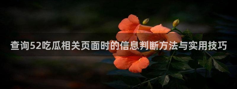 91吃瓜每日事件资讯:查询52吃瓜相关页面时的信息判断方法与实用技巧